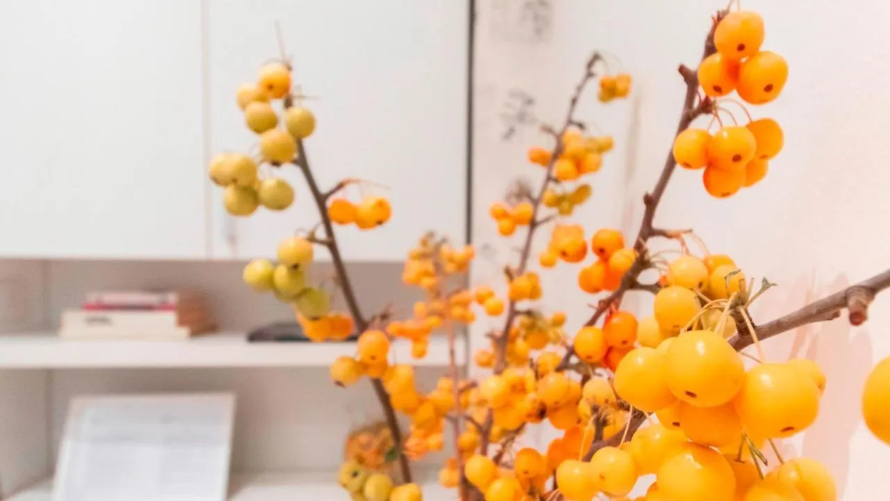 Appartamento Italianway - Melzo 24 Milano